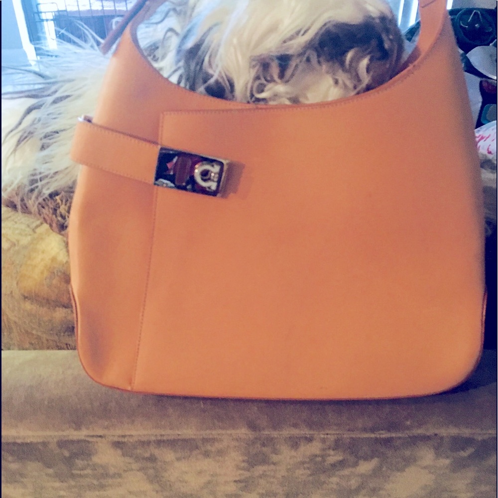 Ferragamo Vintage purse